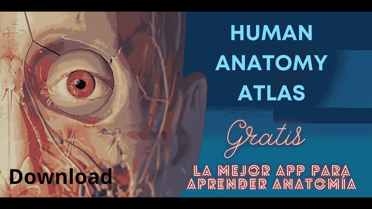 Human Anatomy Atlas l App de anatomía 3D l Anatomía humana 3D