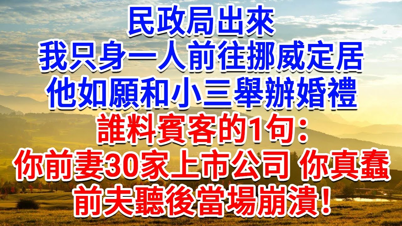 民政局出來，我隻身一人前往挪威定居，他如願和小三舉辦婚禮，誰料賓客的1句：你前妻30家上市公司 你真蠢，前夫聽後當場崩潰！#為人處世#生活經驗#情感故事#故事#小說#戀愛#情感#婚姻