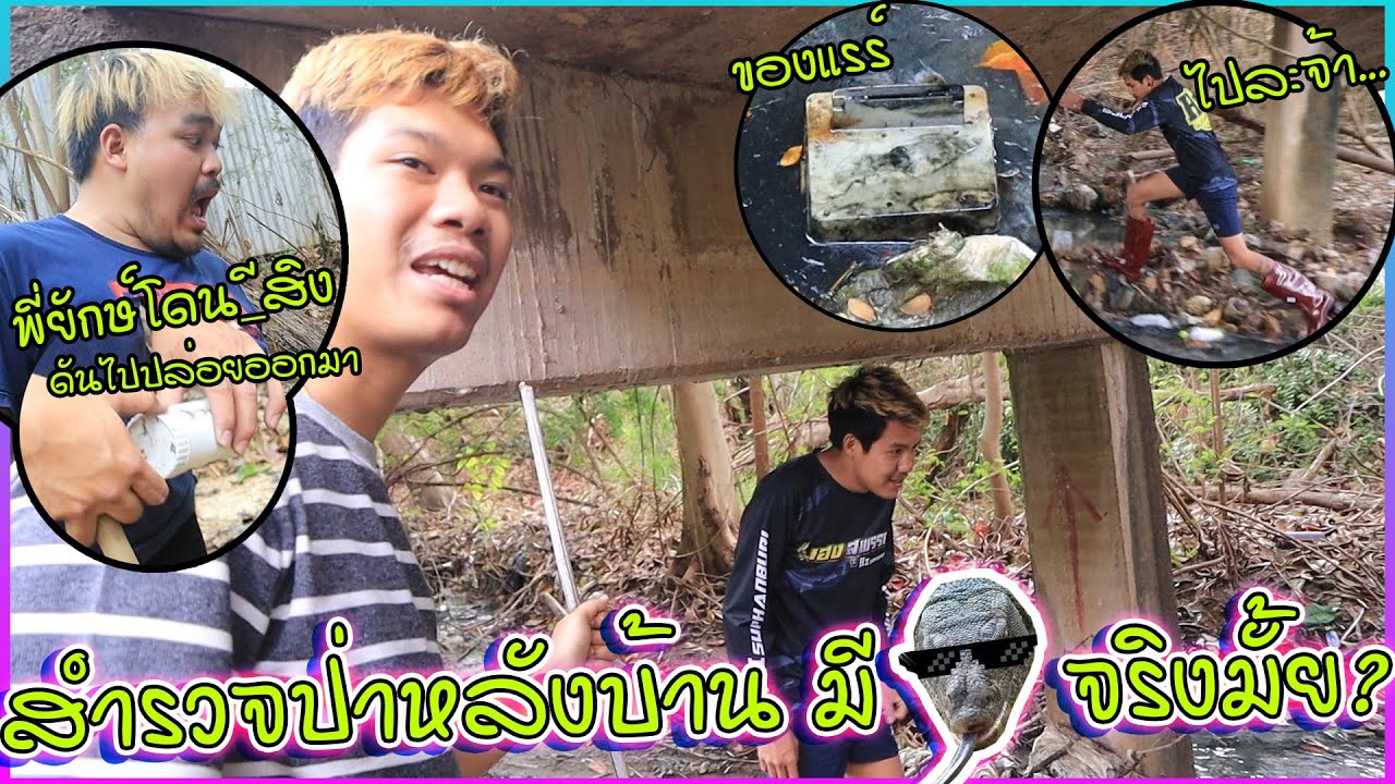 สำรวจป่าหลังบ้านสจ.เจอแต่ของหายาก แล้วมีตัว..รึป่าวไปดูกัน