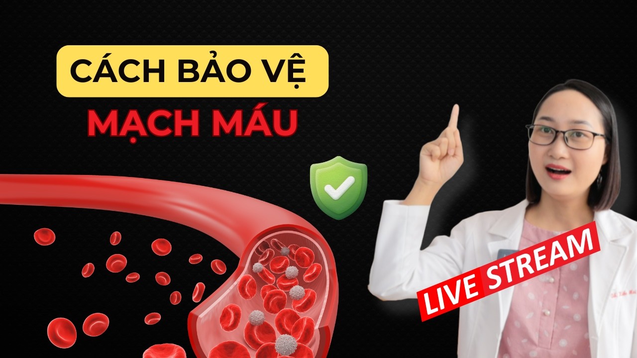 Đột Quỵ Có Thể Phòng Được – Đây Là Cách Bảo Vệ Mạch Máu Mỗi Ngày | Dược Sĩ Lan