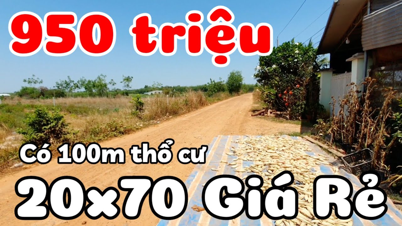 Bán nhà đất 20x70 có thổ cư giá rẻ 950 triệu gần Chợ Long Vĩnh xã Long Chữ Tây Ninh cách TPHCM 75km