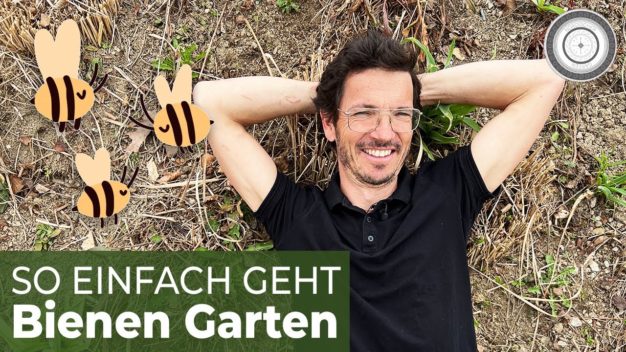 Mach aus DEINEM Garten ein WILDBIENENPARADIES!  TIPPS und TRICKS