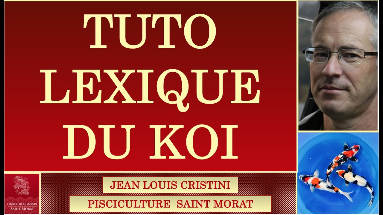 BIEN RECONNAITRE LES DIFFERENTES VARIETES DE CARPE KOI