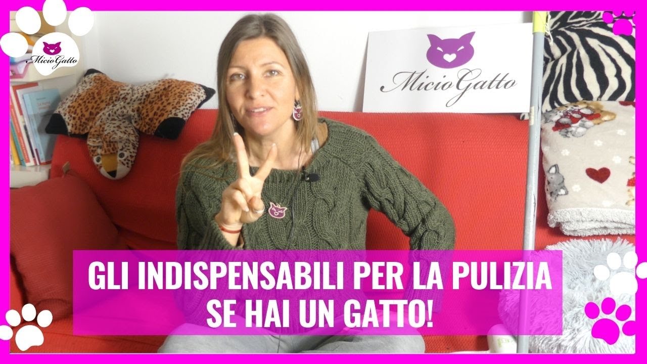 Accessori INDISPENSABILI per la pulizia di casa se hai dei GATTI!