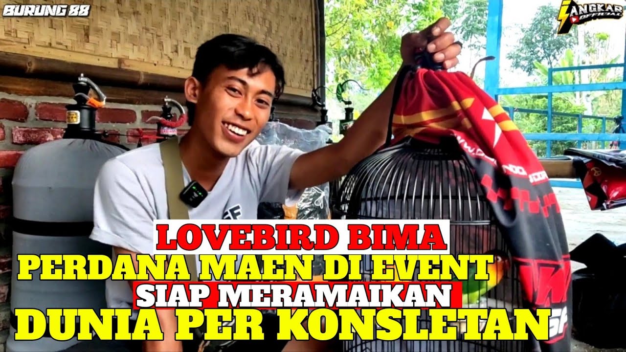 LOVEBIRD BIMA NEKAD MAEN KE KOPDAR KONSLET FUGHTER PADHAL BARU NGUNCI NI BURUNG???
