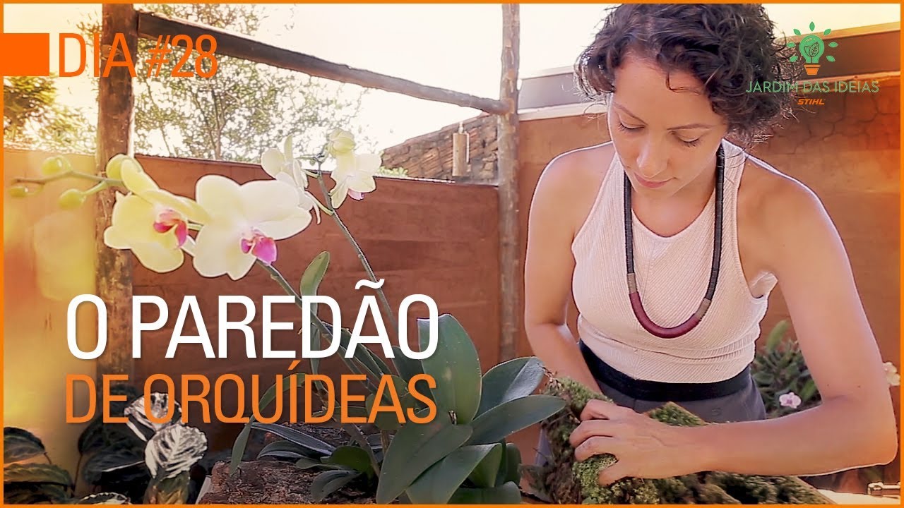 Orquídea SEM flor? Use neste arranjo LINDO