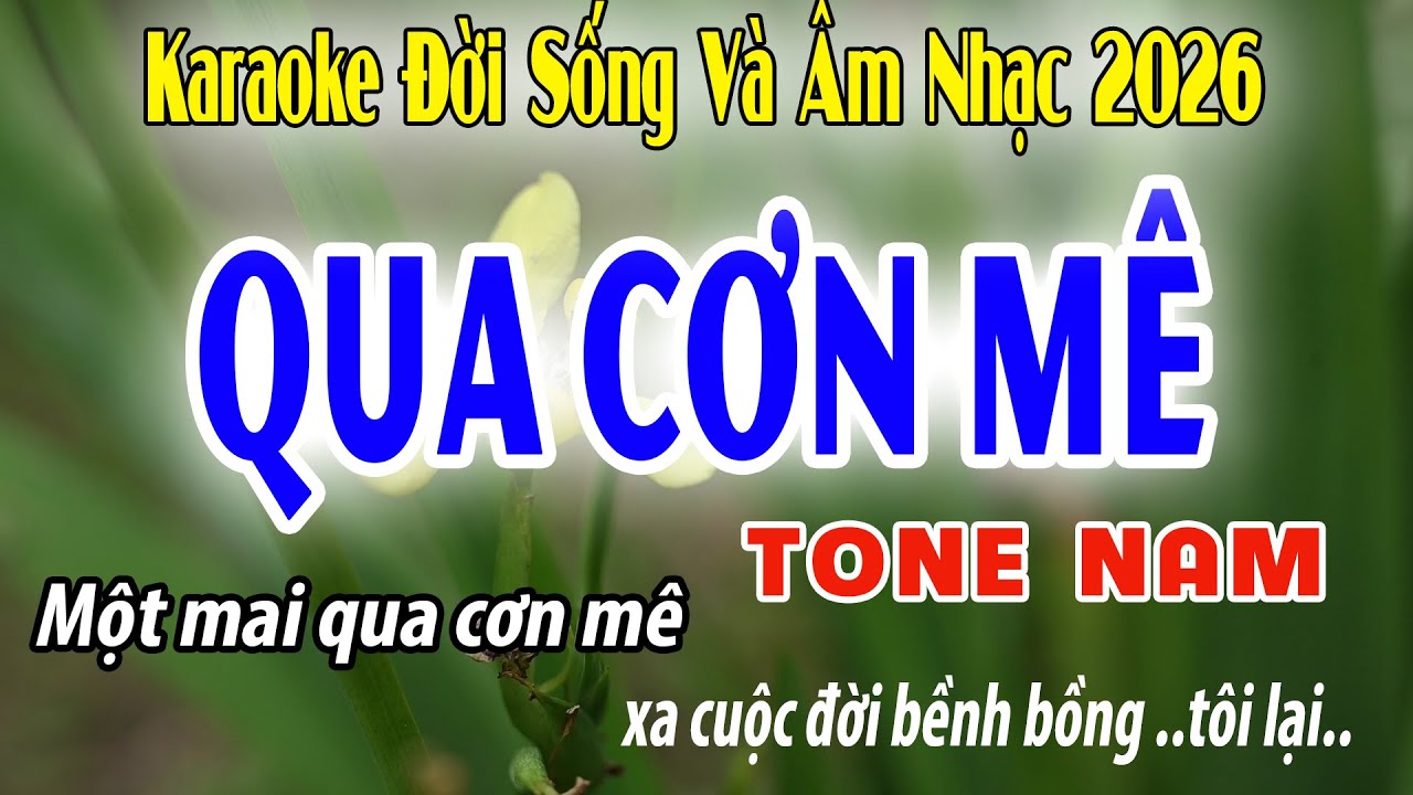 Qua Cơn Mê Tone Nam | Dm | Karaoke Đời Sống Và Âm Nhạc | Beat 2026