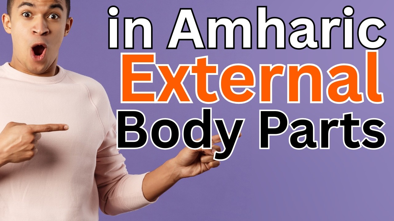 learn external body parts  in Amharic