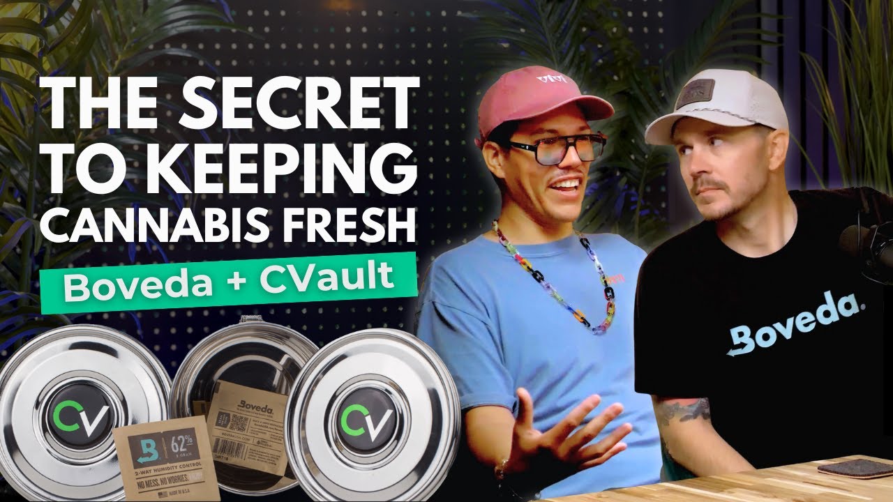 The Secret to Keeping Cannabis Fresh | Boveda x CVault