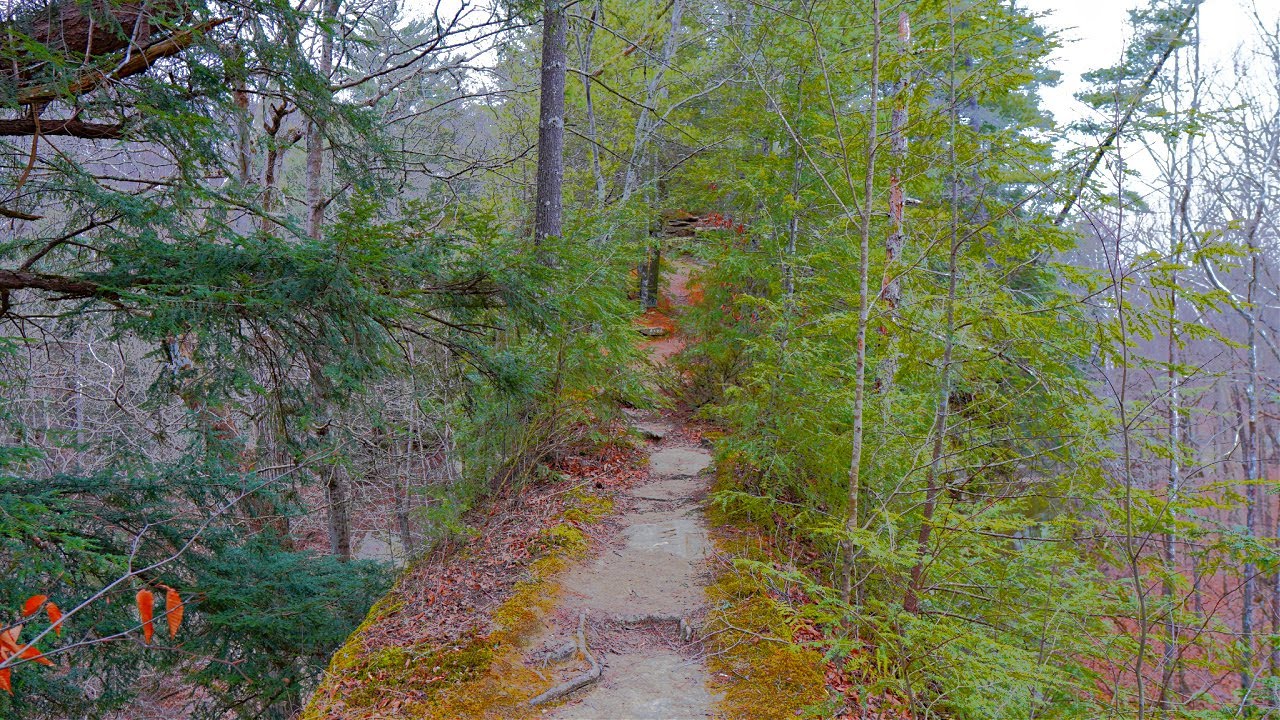 Hiking The Devil's Backbone at Shades State Park