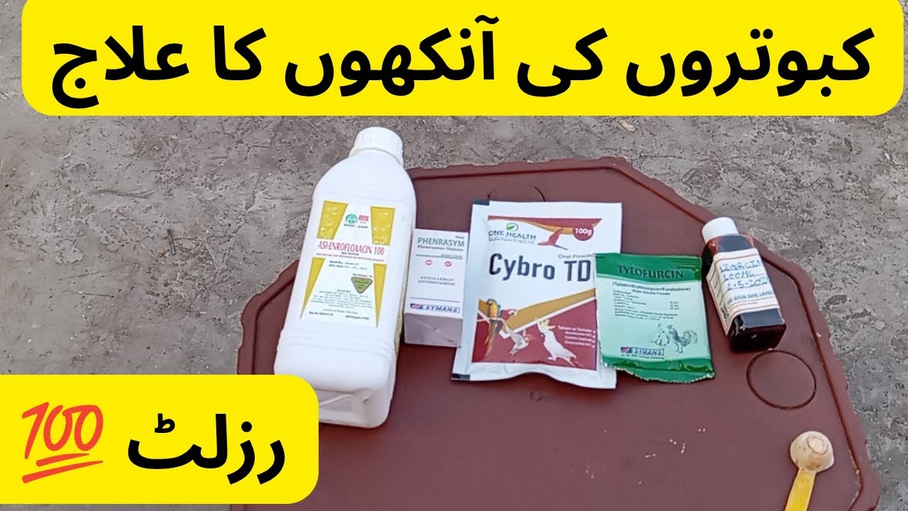 Eyes Infection Treatment | آج ایک جوڑا کی آنکھ خراب | سب کو کورس سٹارٹ 5 دن | 