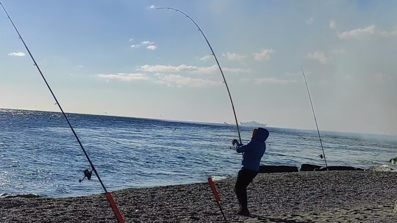 a pesca SUPER CANNA PIEGATA da grosso pesce con l'innesco Bibi di Chioggia..
