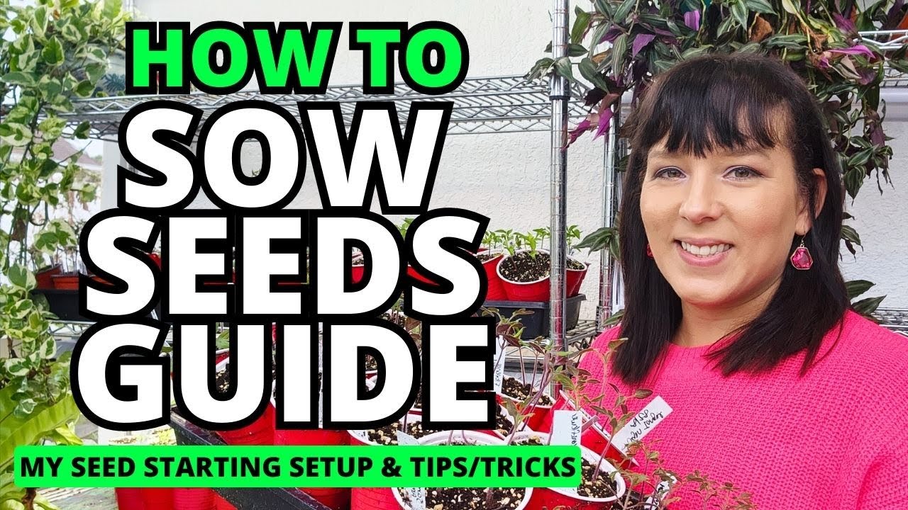 The Ultimate Guide To Sowing Seeds: My Seed Starting Setup // Grow Your Own Vegetables #garden