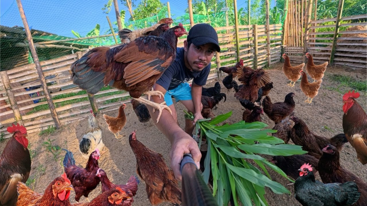 Trabaho sa farm at trabaho sa gagawin shop, Kailangan balanse ang trabaho