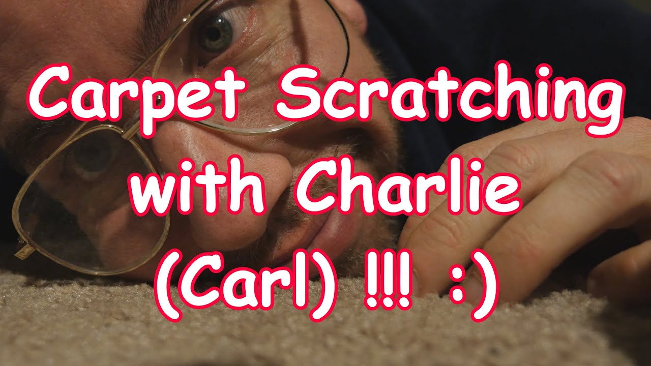 Carpet Scratching with Charlie Carl 1 [ ASMR ]