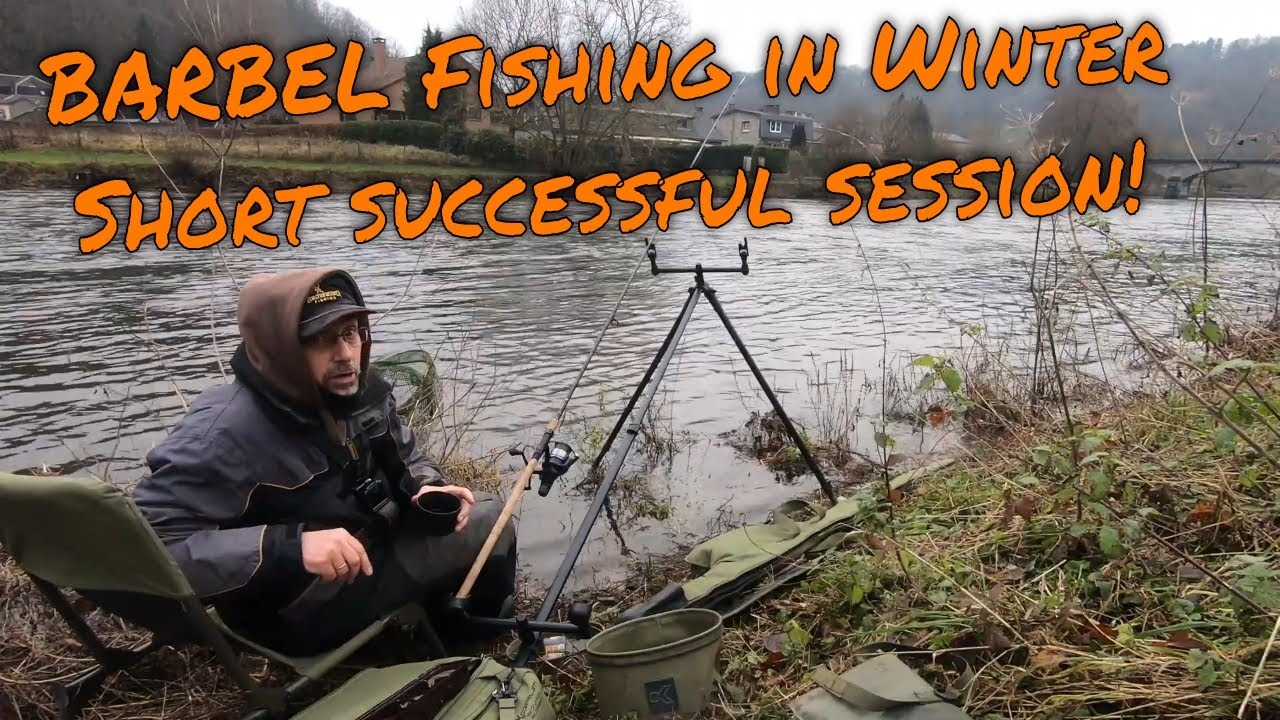 P&ecirc;che du BARBEAU en hiver | Une courte session r&eacute;ussie | P&ecirc;che au feeder sur l'Ambl&egrave;ve | Ep. 5