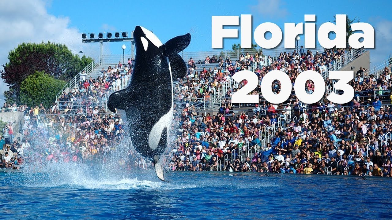 Florida 2003