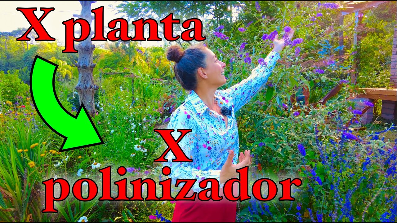 ¿Qué planta para qué polinizador?