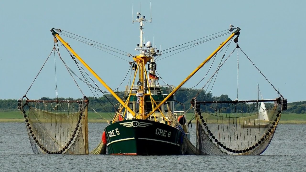 De Havenzangers - M'n Vissersmeisje