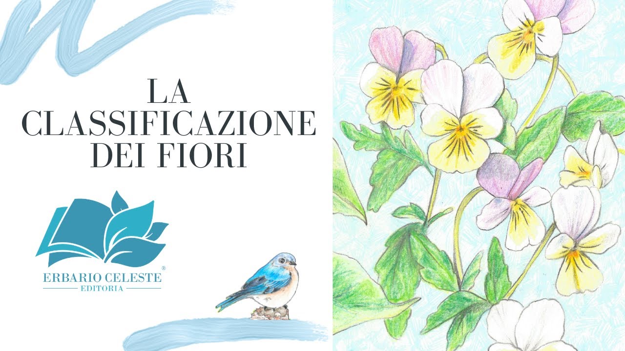 LA CLASSIFICAZIONE DEI FIORI