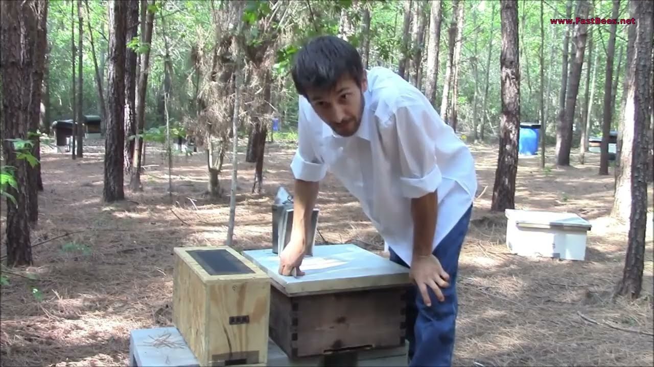How to Start Beekeeping with a Bee NUC &ndash; Your First Step to Becoming the Beekeeper