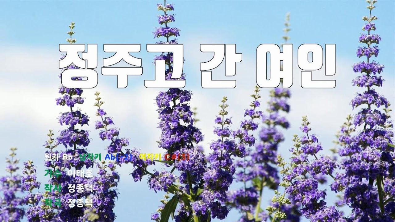 [은성 반주기] 정주고간여인 - 이태호