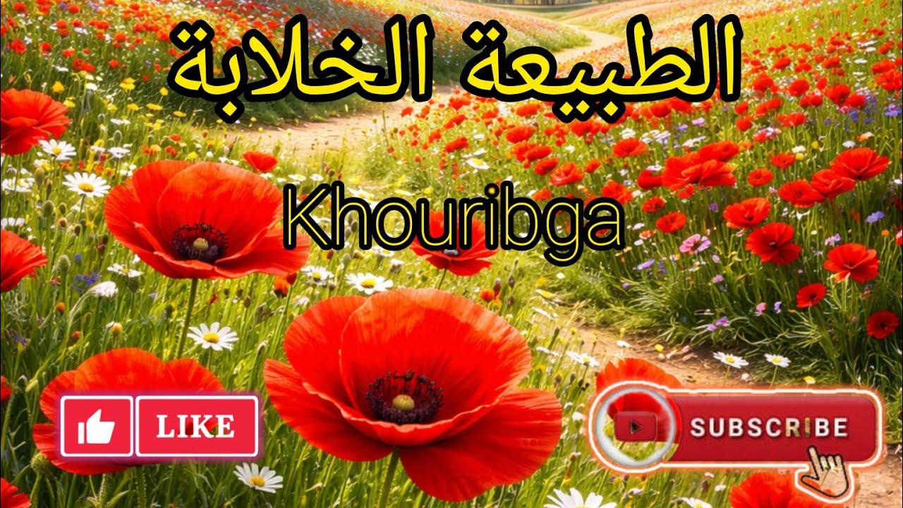 أقوى اغاني عندليب الاطلس الفنان مصطفى اومݣيل   _ Mustapha oumguil