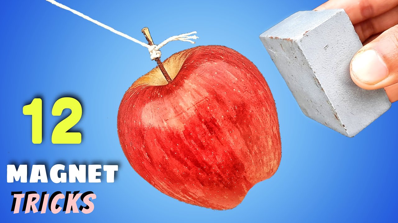 12 Awesome Magnet Tricks || Science Experiments With Magnet