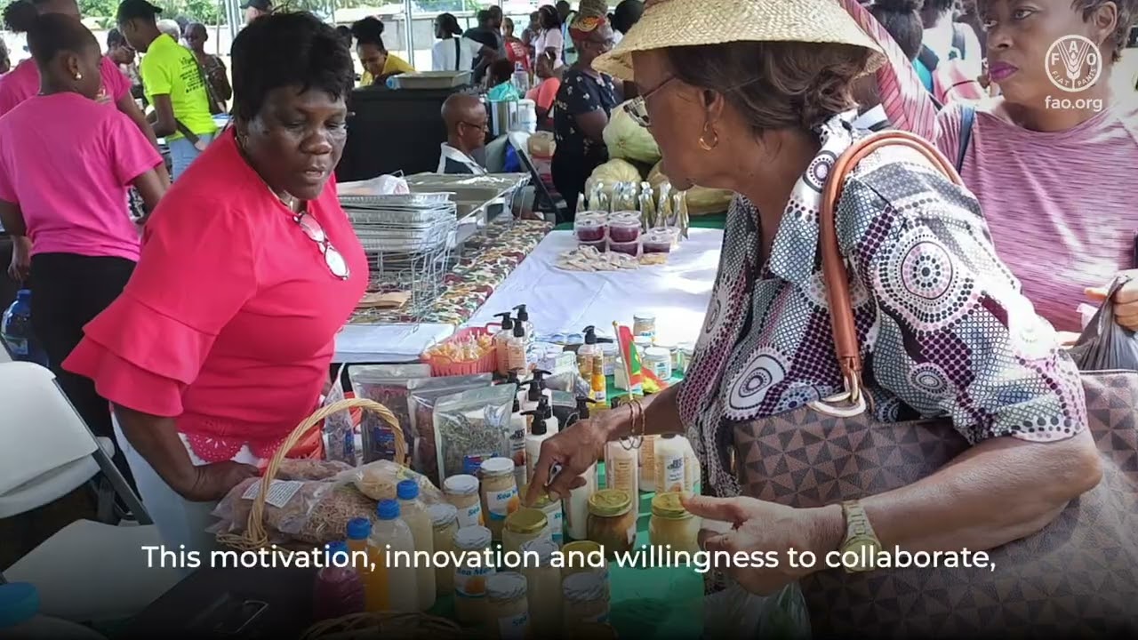 Sea Moss Rising: Positioning Grenada's Blue Economy for Growth and Sustainability