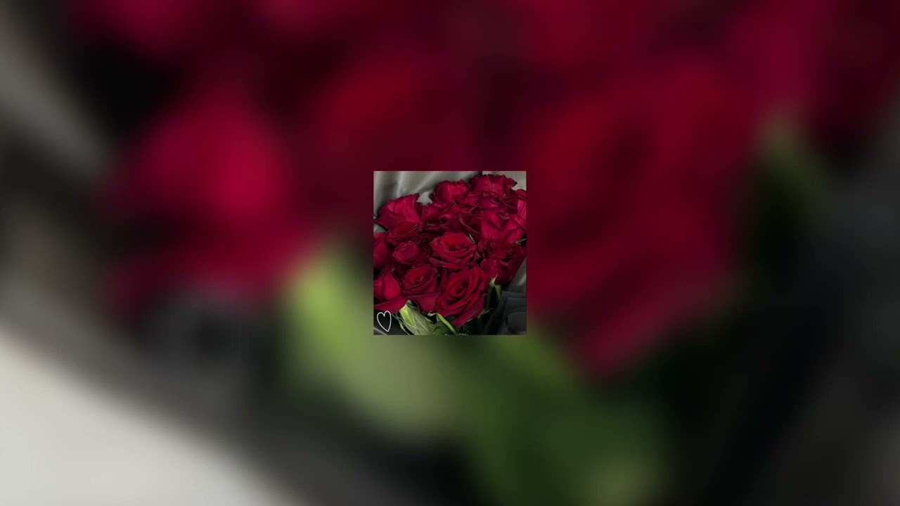 𝟑𝟏𝟑 • 𝐀𝐌𝐎𝐔𝐑 𝐃𝐄 𝐉𝐄𝐔𝐍𝐄𝐒𝐒𝐄 (𝐒𝐏𝐄𝐄𝐃 𝐔𝐏) | 𝐎𝐜.𝐯𝐫𝐦𝐬