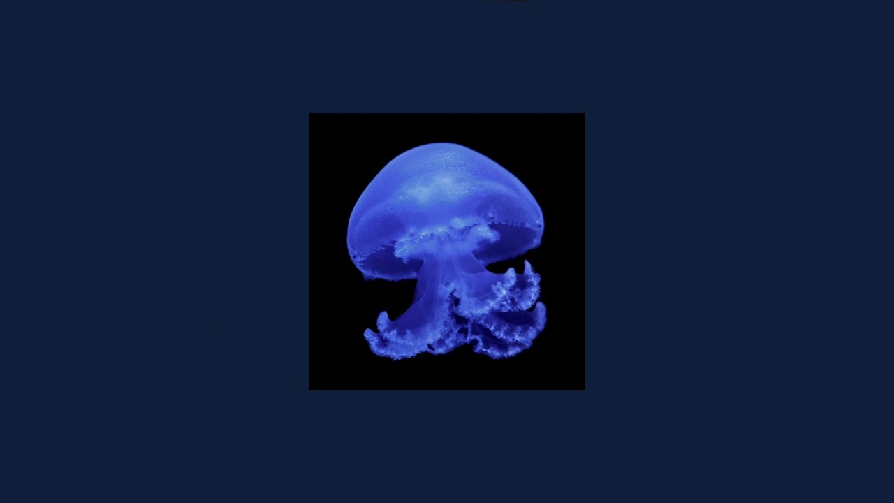 Champagne Coast- Blood Orange | Instrumental Part |  1 hour loop💙🦋
