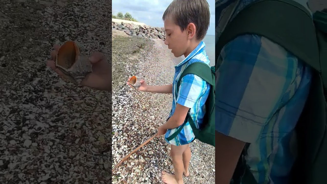 15 серпня 2025 р.