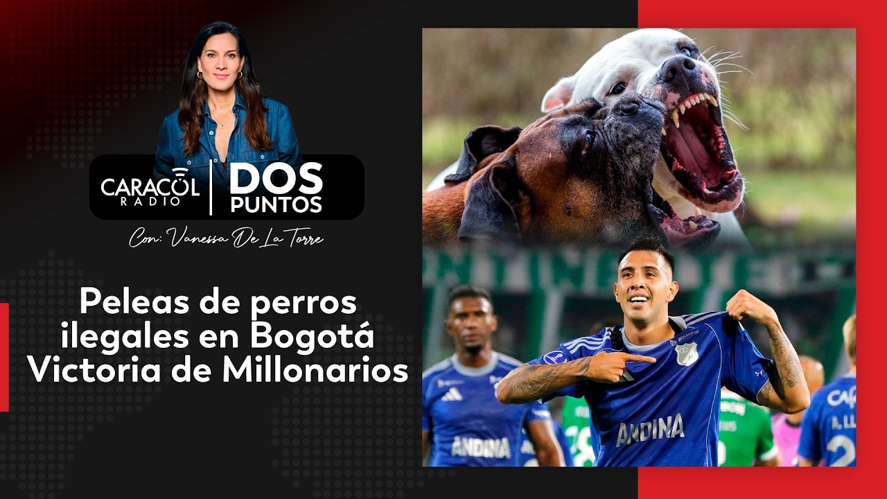 EN VIVO Convención internacional de peleas de perros ilegales - Victoria de Millonarios Dos Puntos