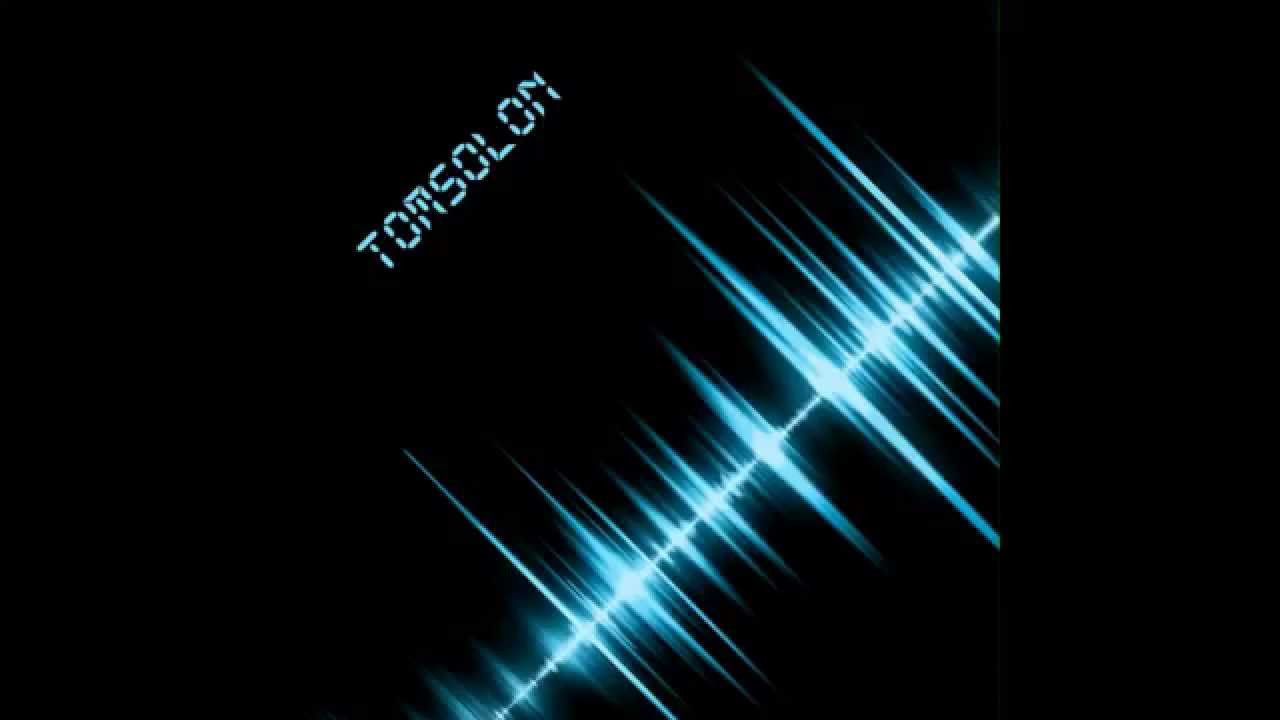 Yves Larock - Zookey 2k14 (tomsolon remix)