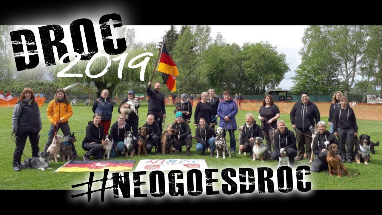 DROC 2019 - Neo hat es geDROCkt!!! | Tony Kliebisch