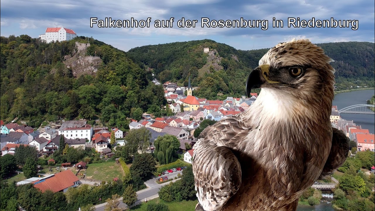 Falkenhof auf der Rosenburg in Riedenburg