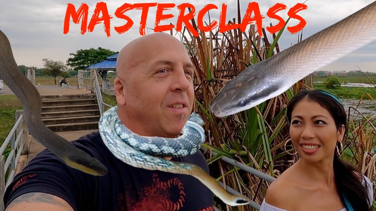 MASTERCLASS | BEAUTY RATSNAKES