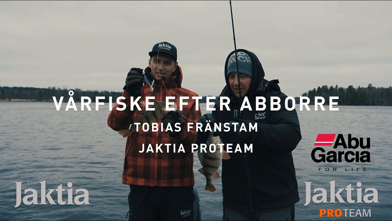 Vårfiske efter abborre med Tobias Fränstam & Jaktia proteam