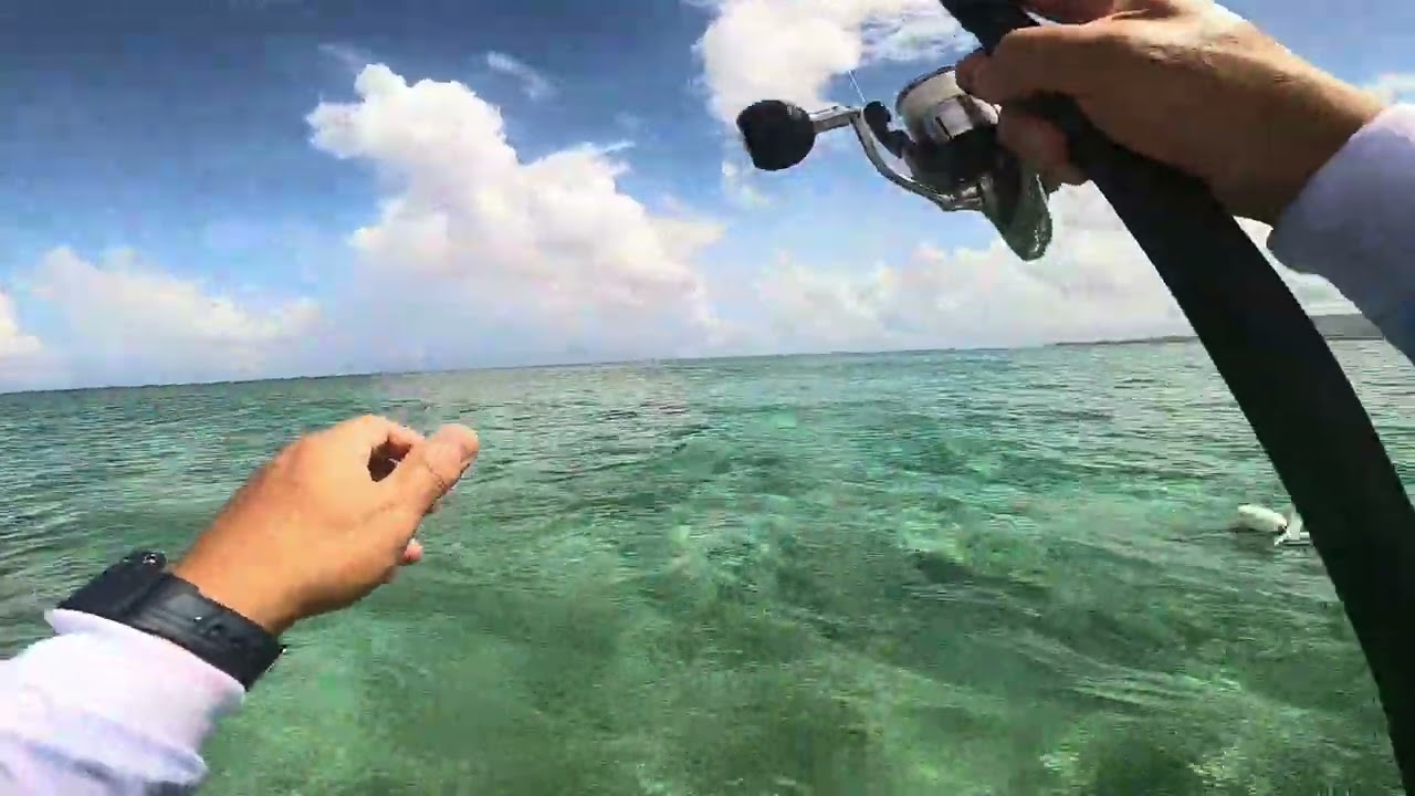 LIGHT TACKLE, BIG BITES