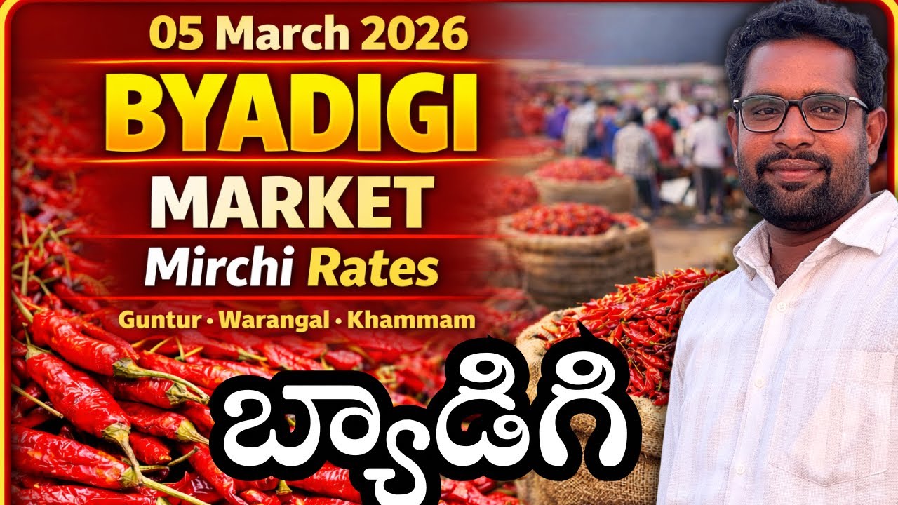 5 March 2026 🌶️ మిర్చి మార్కెట్ రేట్లు | బ్యాడిగి – గుంటూరు – వరంగల్ – ఖమ్మం ఈరోజు ధరలు #viral 