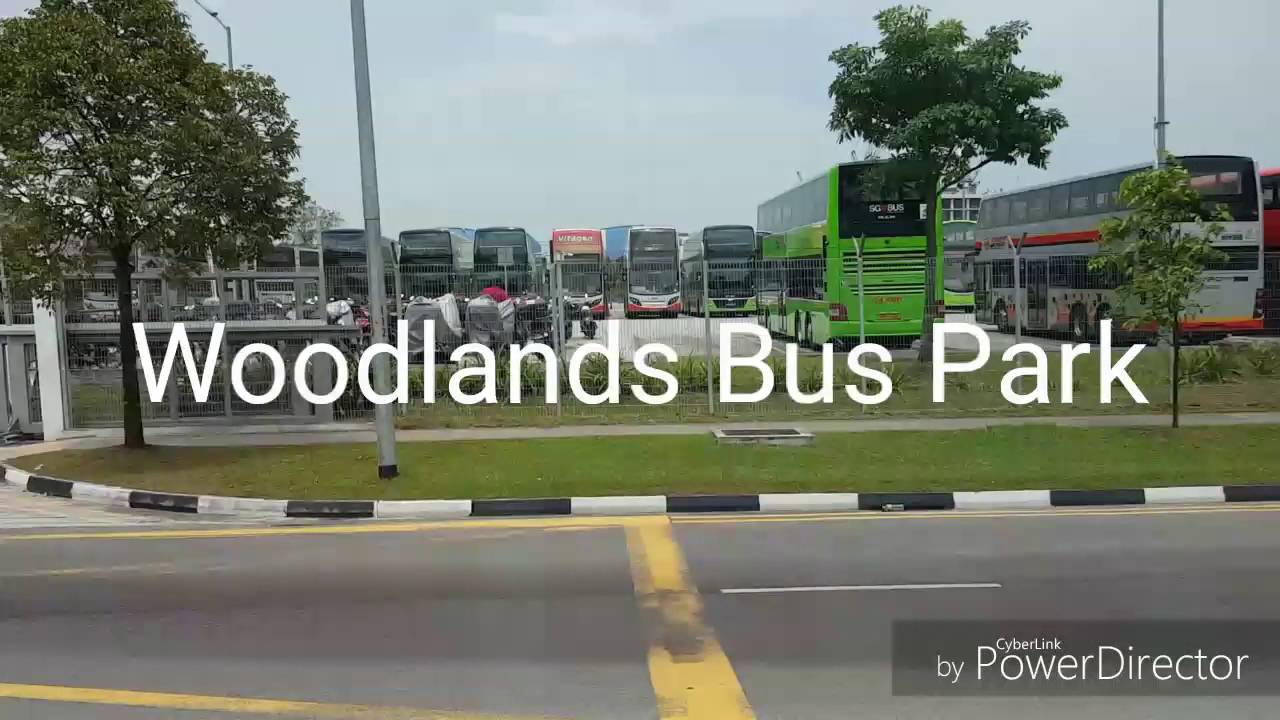 Woodlands Bus Park Buses