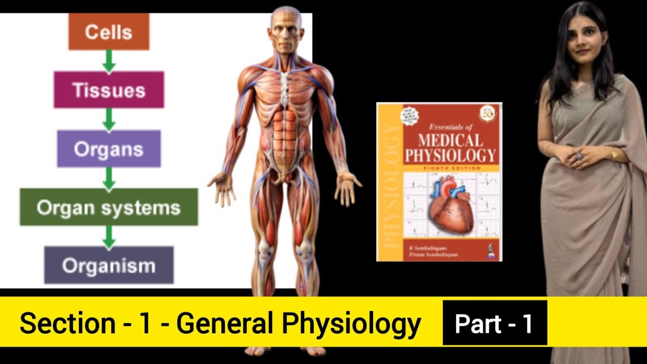 Cells, Tissues, Organs, organ systems explained. Sembulingam: Basic physiology. Clear your basics.