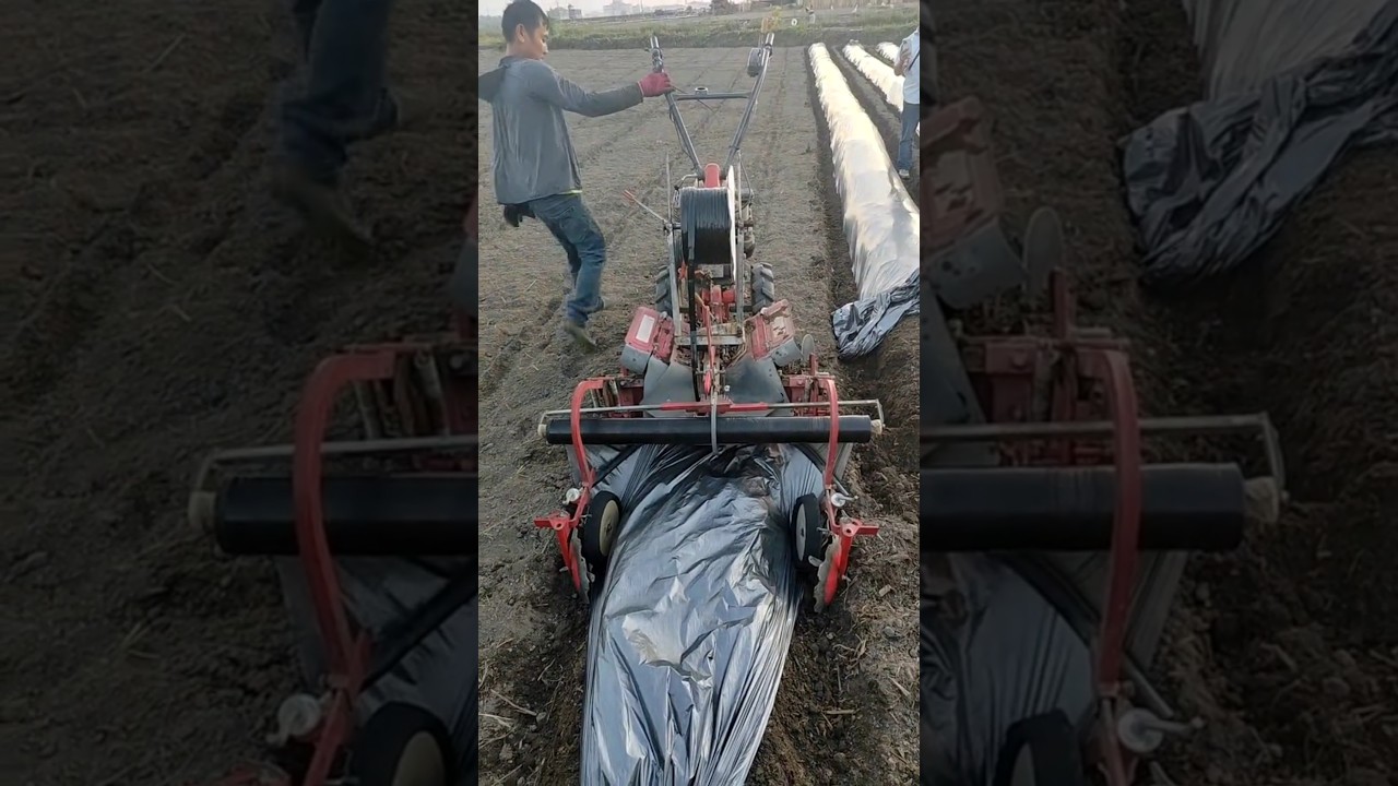 #shorts #agriculture #farming2024 #satisfying #machine #shot #EliteShortsUnleashed #4541