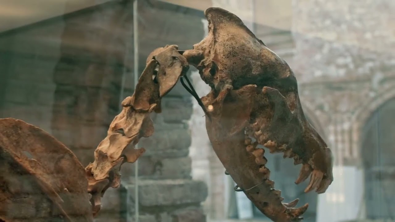 Gavardo. Museo Archeologico della Valle Sabbia. Musei On Site