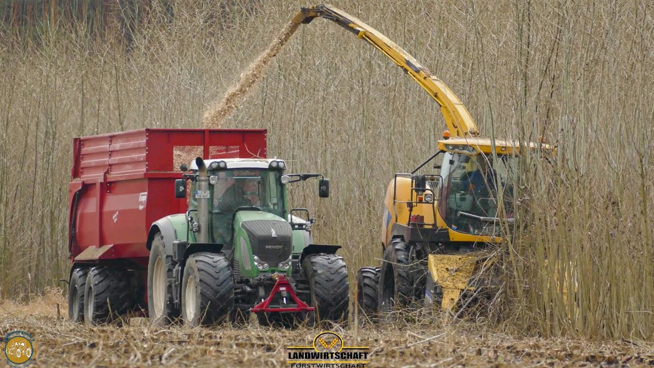 Pappel - Kurzumtriebsplantage Energie Holzernte - Holz Häckseln I New Holland 9080 I Fendt Traktoren