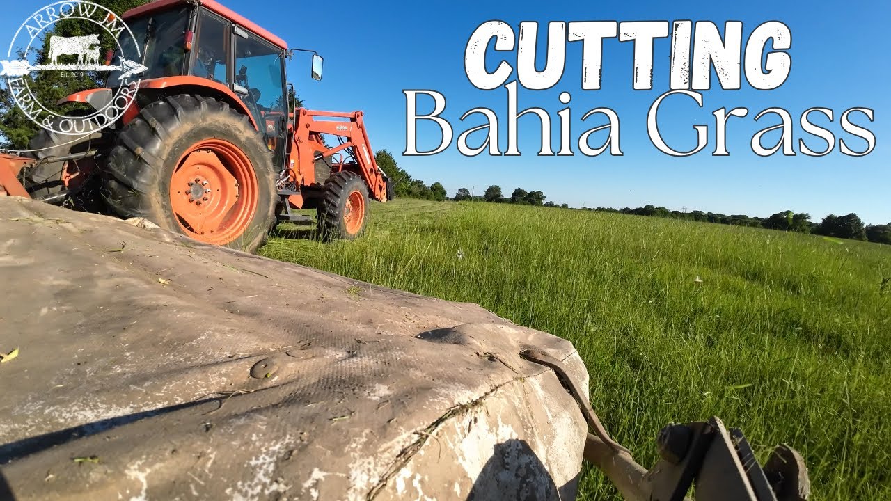 Cutting 20 acres of Bahia with a 20+ Year Old Kuhn Disc Mower & Kubota Tractor