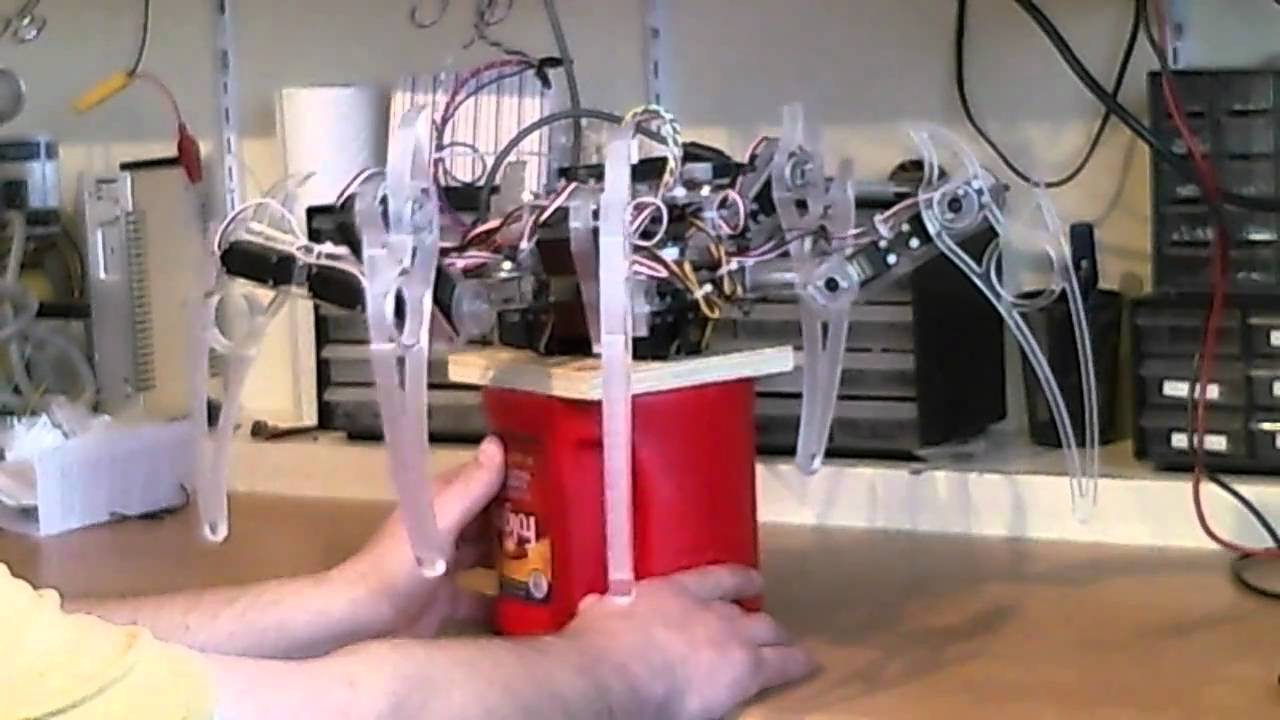 Brad's hexapod first ripple gait walk test