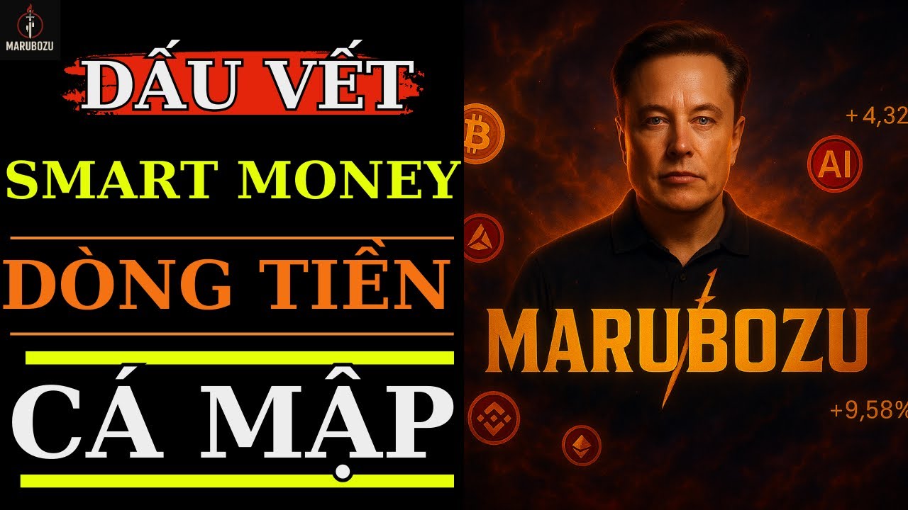 Đọc Dấu Vết Smart Money – Cách Tôi Theo Dòng Tiền Của Cá Mập