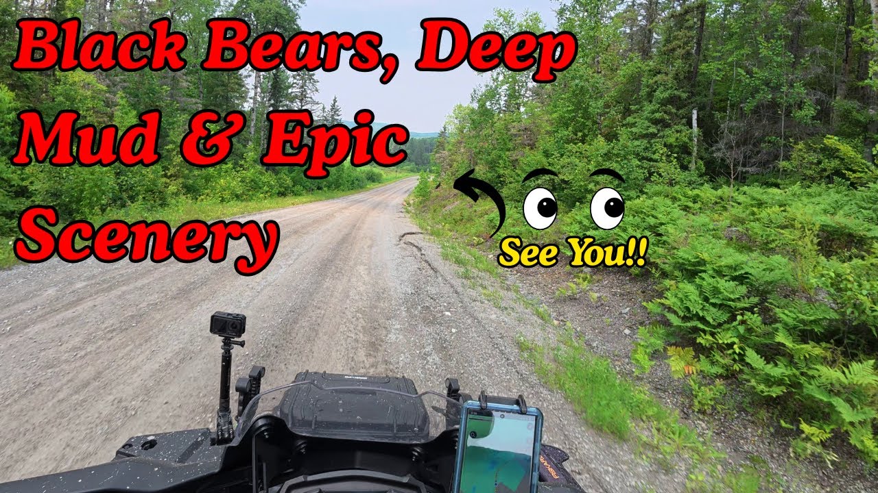 Black Bear, Deep Mud & Beavers Mountain | Raw ATV Adventure with My Son