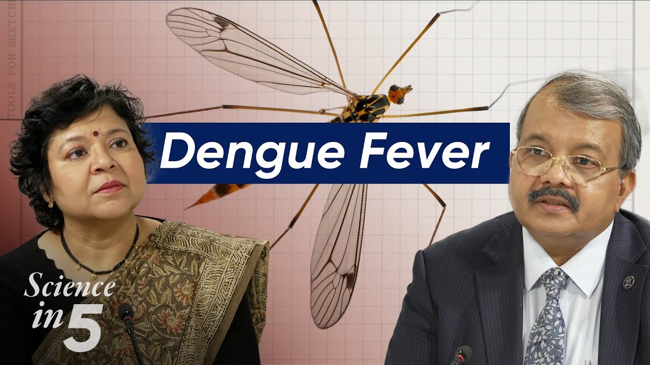 WHO’s Science in 5 - Dengue Fever - 28 March 2024